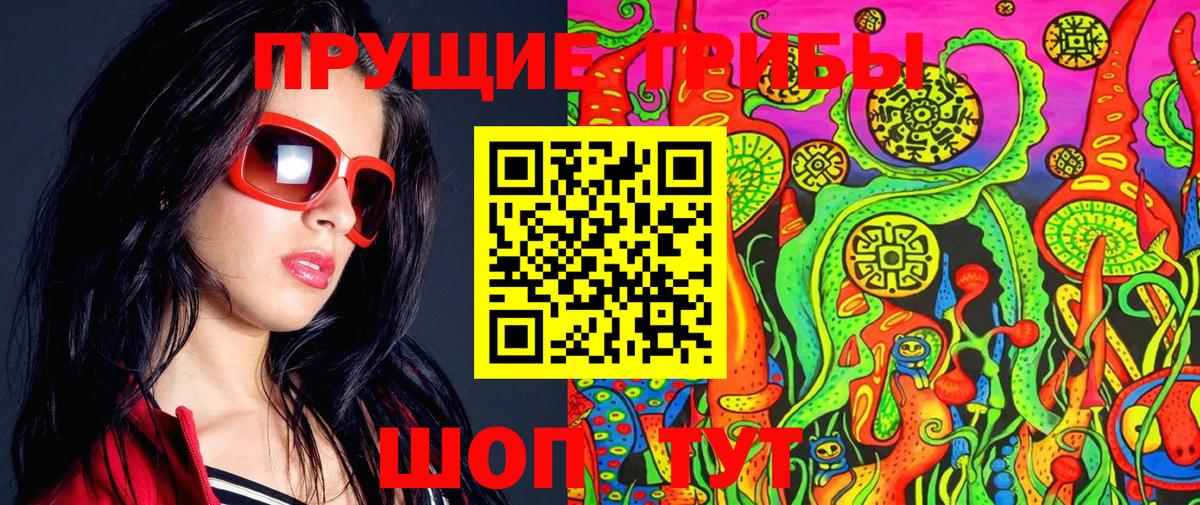 Псилоцибиновые грибы MAGIC MUSHROOMS  Вход с VPN  Вичуга  Галлюциногенные грибы прущие грибы 